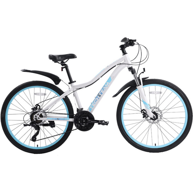 Велосипед TECH TEAM DELTA 26х14 2022 бело-синий NN007678